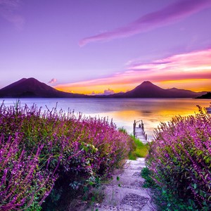 Summer landscape at sunset